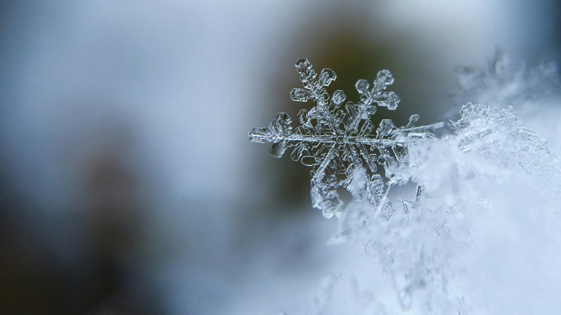Aaron Burden 5Aiwn2u10cw Unsplash