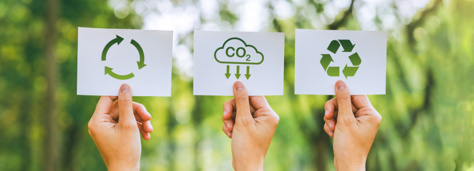 Interview with Sustainability Expert Dr Matt Sawyer